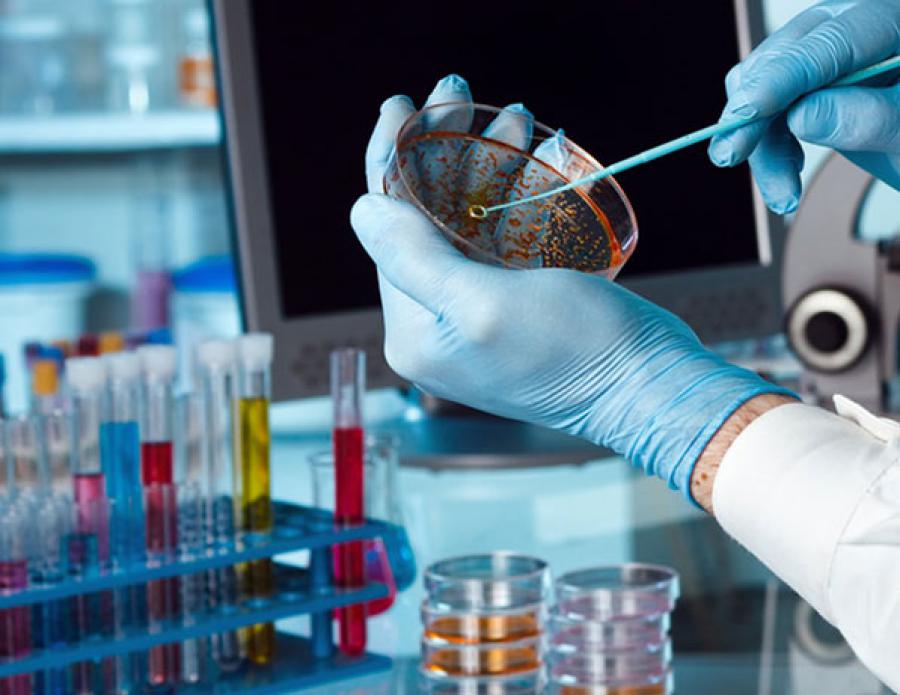 La innovación en la Industria Biotecnológica Cubana