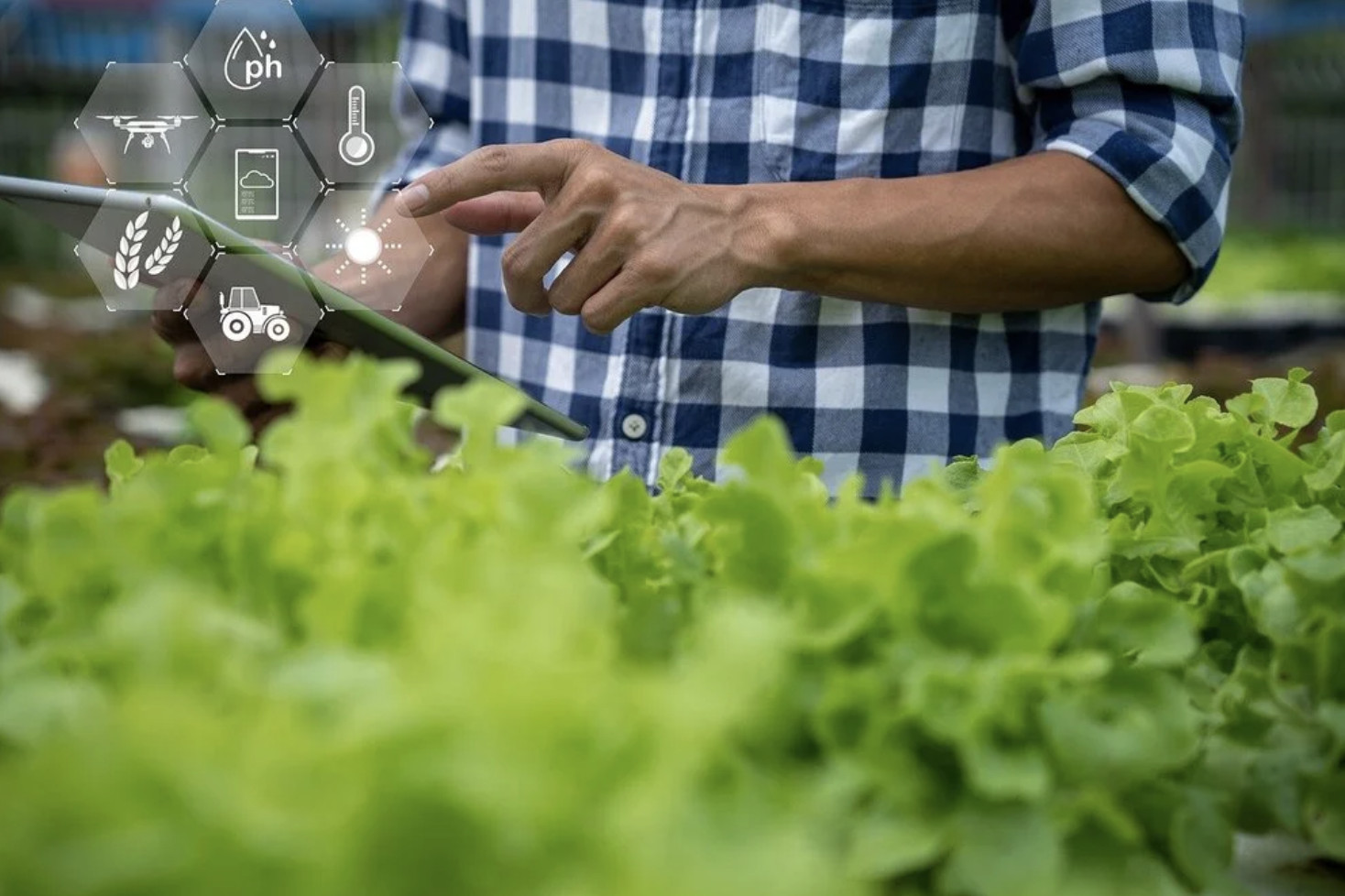 Transformación digital del sector agroalimentario en Cuba